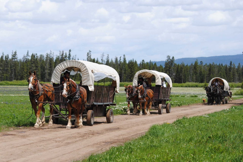 Wagon Train